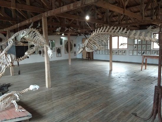 Museo de Historia Natural Río Seco